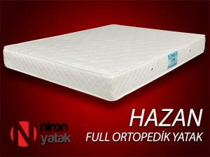 Niron Otel Katlanir 90 X 200 Cm Tek Kisilik Karyola Ve Yayli Fiyati